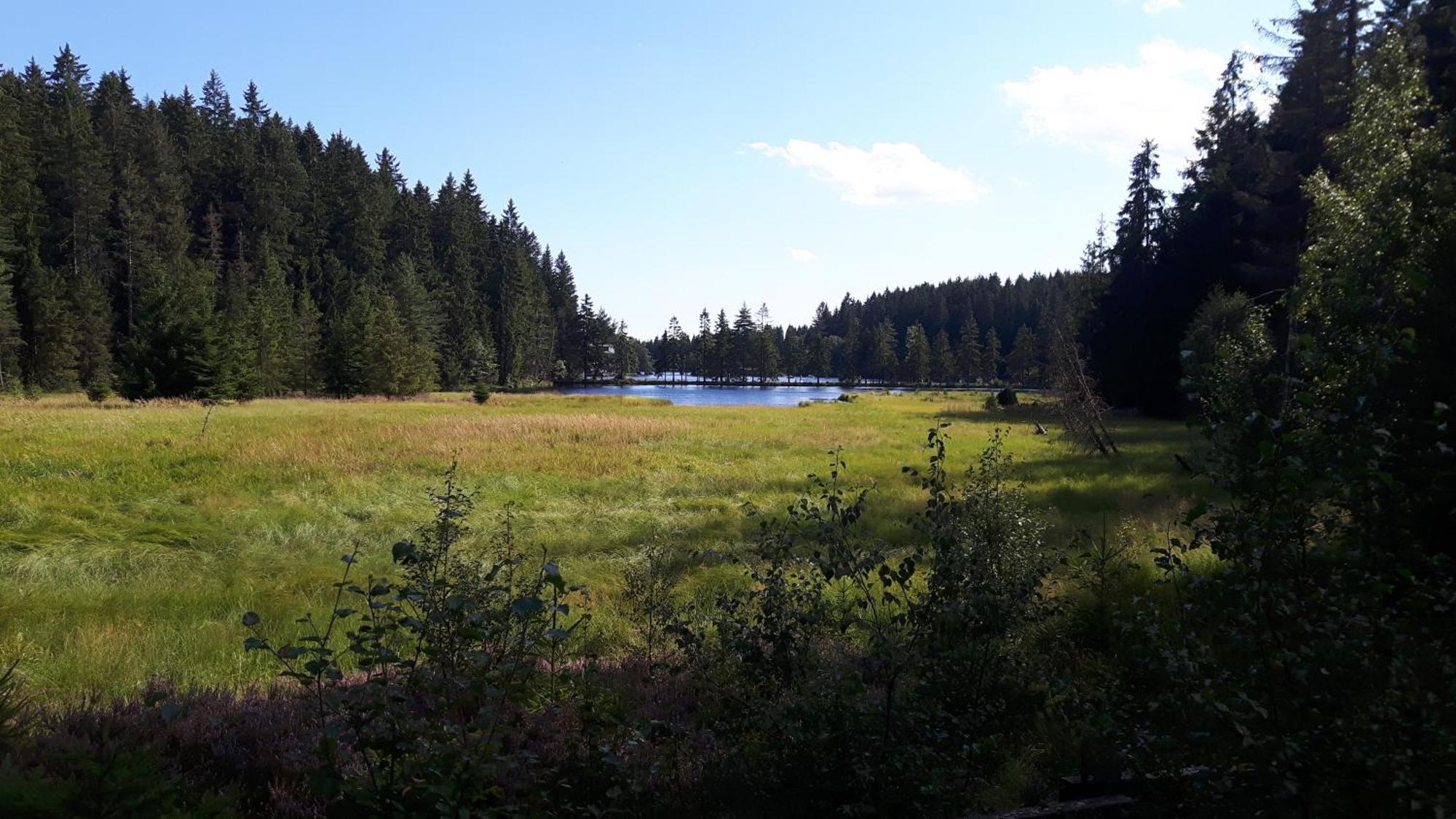 Ferienwohnung Im Bauernhaus Im Fichtelgebirge Gefrees Eksteriør billede